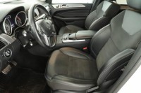Mercedes-Benz ML  ML 250 BlueTEC 