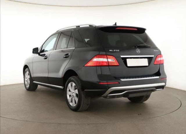 Mercedes-Benz ML  ML 250 BlueTEC 