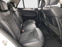 Mercedes-Benz ML  ML 350 BlueTEC 