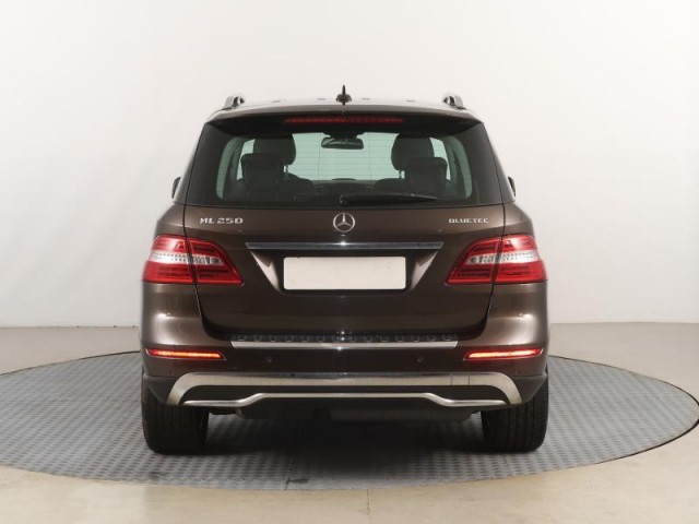 Mercedes-Benz ML  ML 250 BlueTEC 
