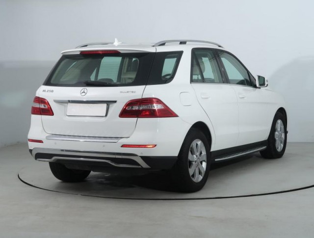 Mercedes-Benz ML  ML 250 BlueTEC Performance Pa