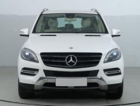 Mercedes-Benz ML  ML 250 BlueTEC Performance Pa
