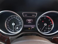 Mercedes-Benz ML  ML 250 BlueTEC Performance Pa