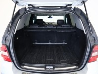 Mercedes-Benz ML  ML 420 CDI 