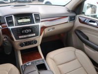 Mercedes-Benz ML  ML 250 BlueTEC Performance Pa