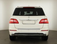 Mercedes-Benz ML  ML 250 BlueTEC 
