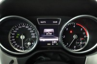 Mercedes-Benz ML  ML 250 BlueTEC 