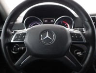 Mercedes-Benz ML  ML 350 BlueTEC 