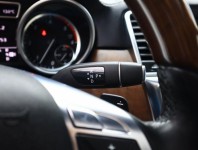 Mercedes-Benz ML  ML 350 BlueTEC Edition 1