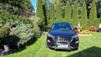 Hyundai Tucson 1,6   T-G4FD,97 kW | ICEBREAKE